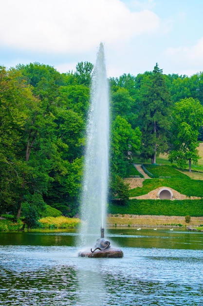 Foto della bellissima fontana tra il lago nel parco in estate