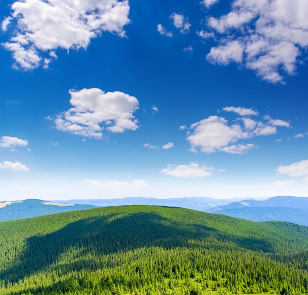 Foto della fitta foresta nebbiosa verde dei Carpazi al giorno d'estate in montagna