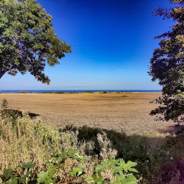 Foto della natura nel nord della Germania in estate