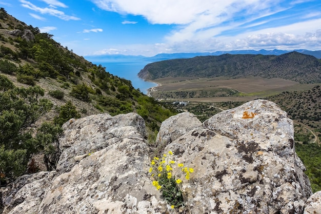 Foto della natura sul sentiero Golitsyn Paesaggi del Mar Nero e delle montagne della Crimea nel verde Crimea