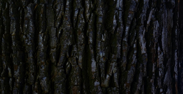 foto della superficie in legno strutturata naturale