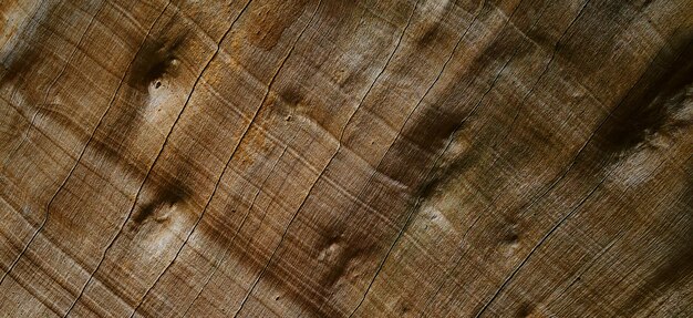 foto della superficie in legno strutturata naturale