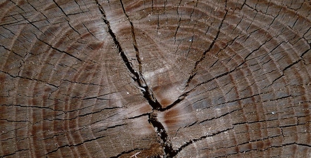 foto della superficie in legno strutturata naturale