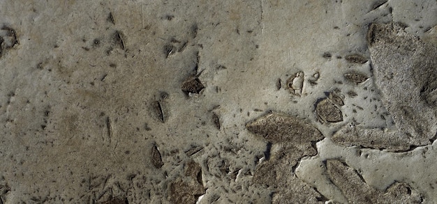 foto della vecchia superficie di legno strutturata naturale