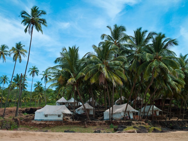 Foto delle bellissime spiagge di Goa sullo sfondo di cielo e vegetazione