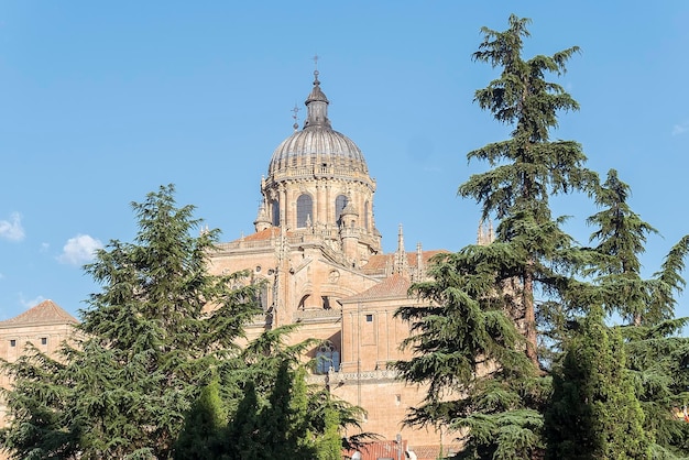 Foto dettaglio di una parte della cattedrale di Salamanca in Spagna