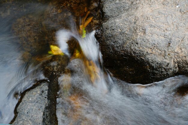 Foto di cascata in natura