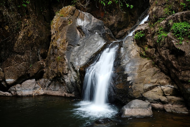 Foto di cascata in natura