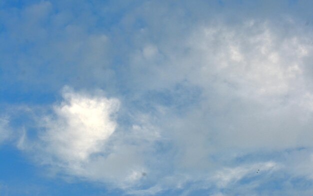 foto di cielo blu e nuvole bianche nel pomeriggio