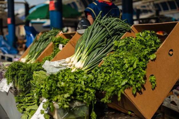 Foto di cipolle, prezzemolo, aneto, tutte le erbe verdi per insalata in vendita