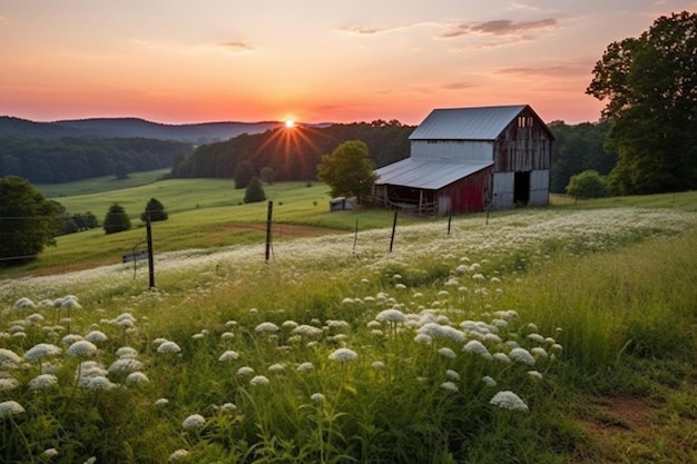 Foto di Countryside Charm Clover