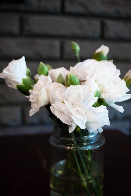 Foto di fiori di garofano bianco su sfondo scuro