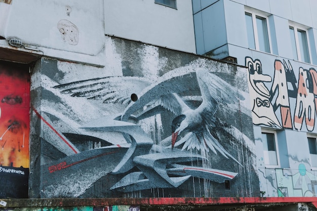 Foto di Graffiti Foto