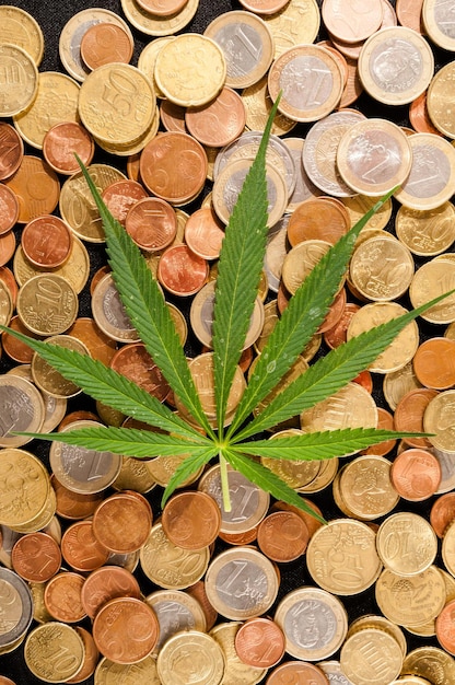 Foto di Marijuana e denaro Cannabis Business Concept