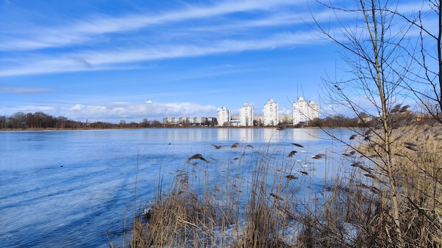 foto di paesaggio all'inizio della primavera