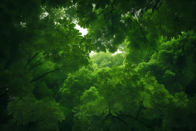 Foto di paesaggio verde con baldacchino verde sopra la testa