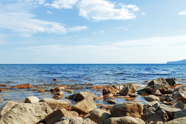 Foto di spiaggia pietrosa come sfondo