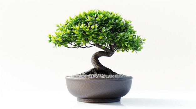 Foto di un albero di bonsai in una pentola sullo sfondo isolato Una pianta di bonsai perfetta generata dall'AI
