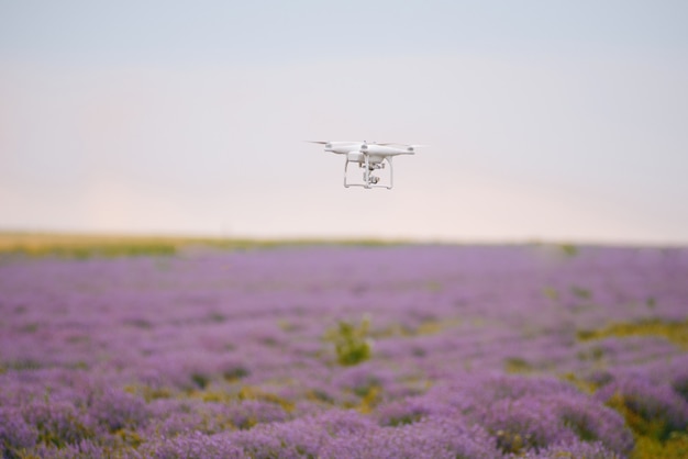 Foto di un drone che vola sopra il campo di lavanda.