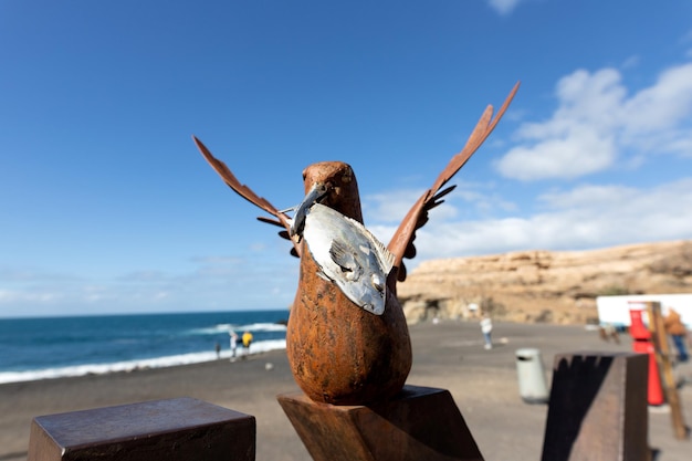 Foto di una bellissima scultura di uccelli marini di Fuerteventura