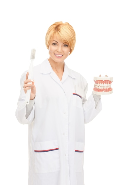 foto di una dottoressa attraente con spazzolino da denti e mandibole