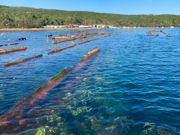 foto di una nave affondata sulla superficie dell'acqua