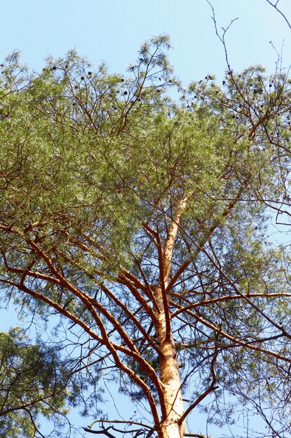 foto di una passeggiata in natura