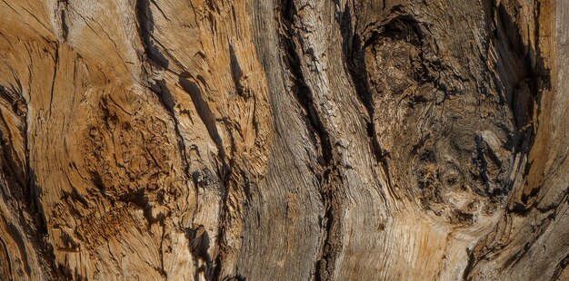 foto di una vecchia superficie in legno