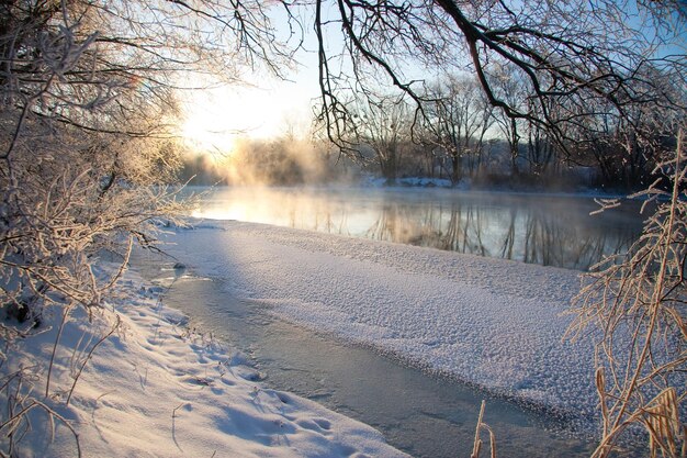 Foto il fiume innevato non gelava in invernoIl fiume scorre in inverno Neve sui rami degli alberi Riflesso della neve nel fiume Enormi cumuli di neve giacciono sulla sponda del ruscello