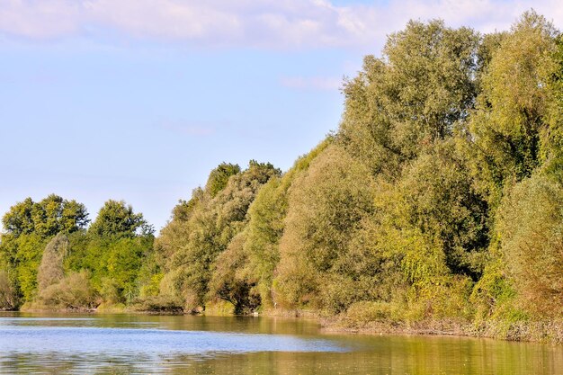 Foto Immagine del bellissimo fiume Brenta selvaggio nel nord Italia