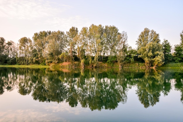 Foto Immagine del bellissimo fiume Brenta selvaggio nel nord Italia