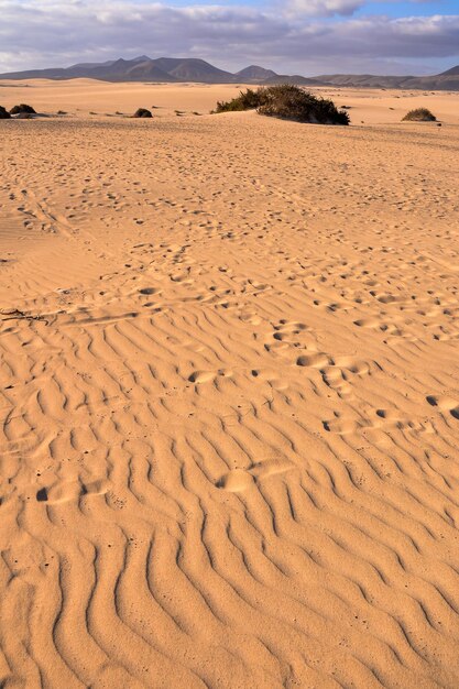 Foto Immagine di un bellissimo paesaggio desertico arido