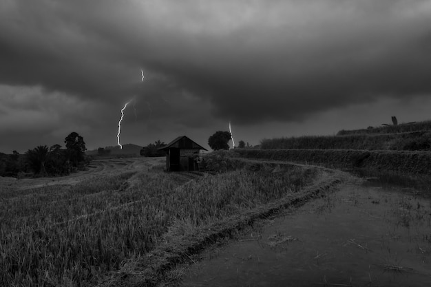 Foto in bianco e nero di lampi nella zona di montagna