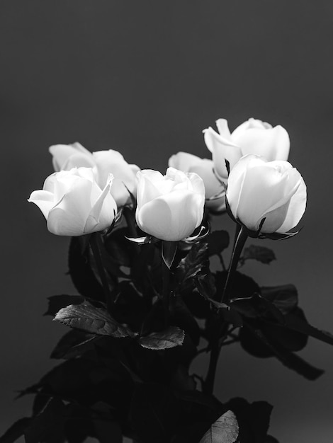 Foto in bianco e nero di un mazzo di rose