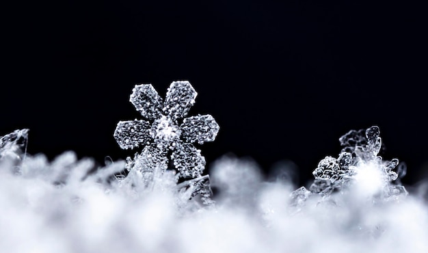 foto invernale di fiocchi di neve nella neve