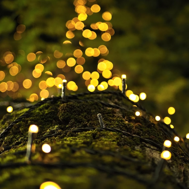 Foto notturna con una ghirlanda decorativa su un tronco d'albero e un bellissimo bokeh. Kislovodsk, Russia.