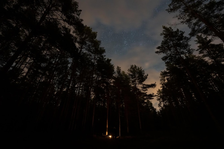 Foto foto notturna di candela che brucia in una foresta buia cielo stellato e nuvole autunno in estonia