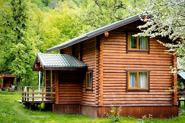 Foto orizzontale della casa in legno nella foresta verde Pro e contro della casa in legno e del concetto immobiliare suburbano