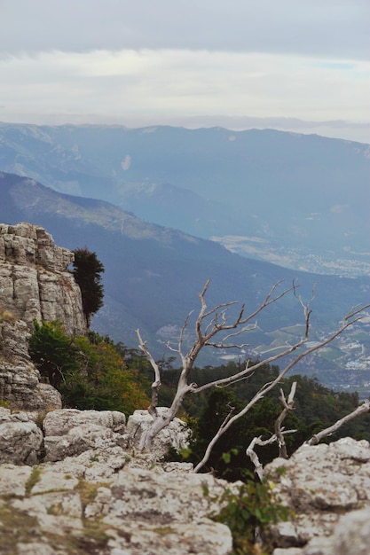 FOTO Paesaggio della Crimea con le montagne AiPetri bella vista