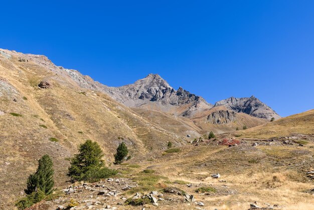 Foto panoramica di ampi pendii alpini granitici ricoperti di erba autunnale gialla in Valle d'Aosta