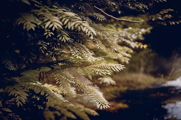 Foto ravvicinata di un impianto