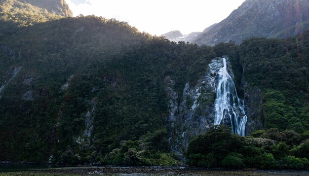 foto retroilluminata di una cascata circondata da scogliere verdi, la posizione è lady Bowen Falls Milford Sound