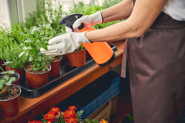 Foto ritagliata di una donna caucasica con guanti da lavoro che spruzza piante usando un flacone spray