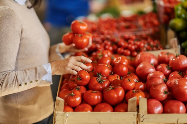Foto ritagliata di una donna che sceglie pomodori biologici freschi al mercato di farmer39s