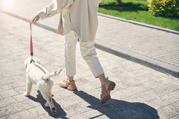 Foto ritagliata di una signora e il suo amico a quattro zampe che passeggiano insieme in una giornata di sole