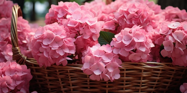 Foto romantica in primo piano di ortensie rosa in un cesto di vimini Foto di alta qualità AI generativa