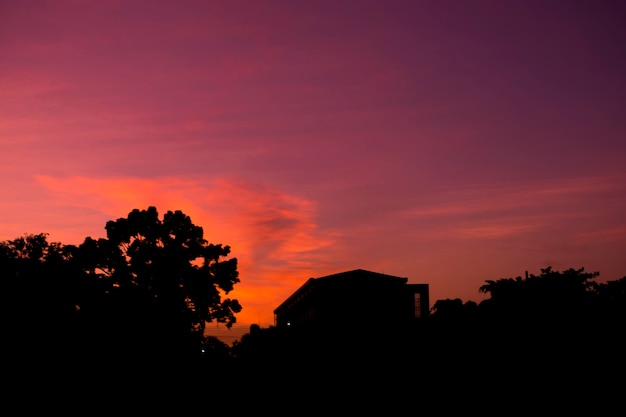 Foto Silhouette cielo rosso e sagome di alberi neri.