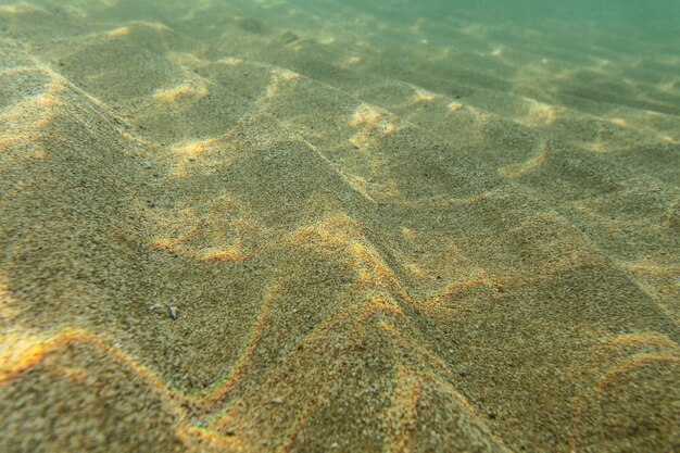 Foto subacquea, fondale marino in acque poco profonde, sole che splende, rifrazione della luce sulle dune di sabbia. Sfondo marino astratto.