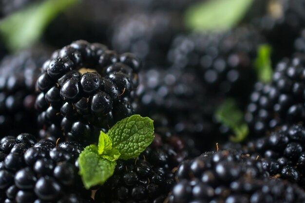 Foto succosa matura fresca cruda del primo piano delle more