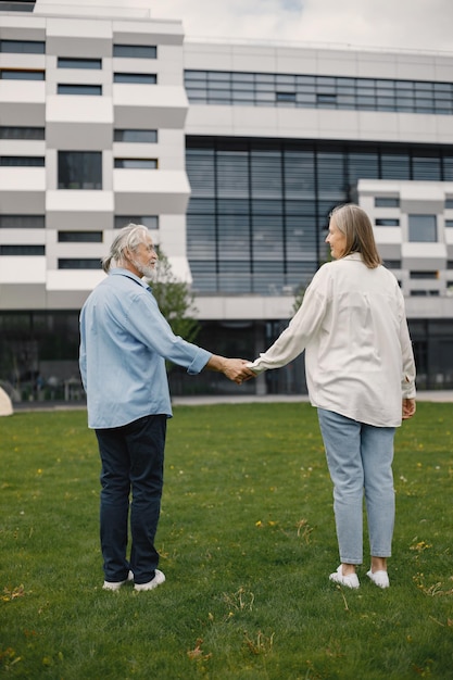 Foto sul retro di una coppia senior in piedi su un prato in estate e tenendosi per mano